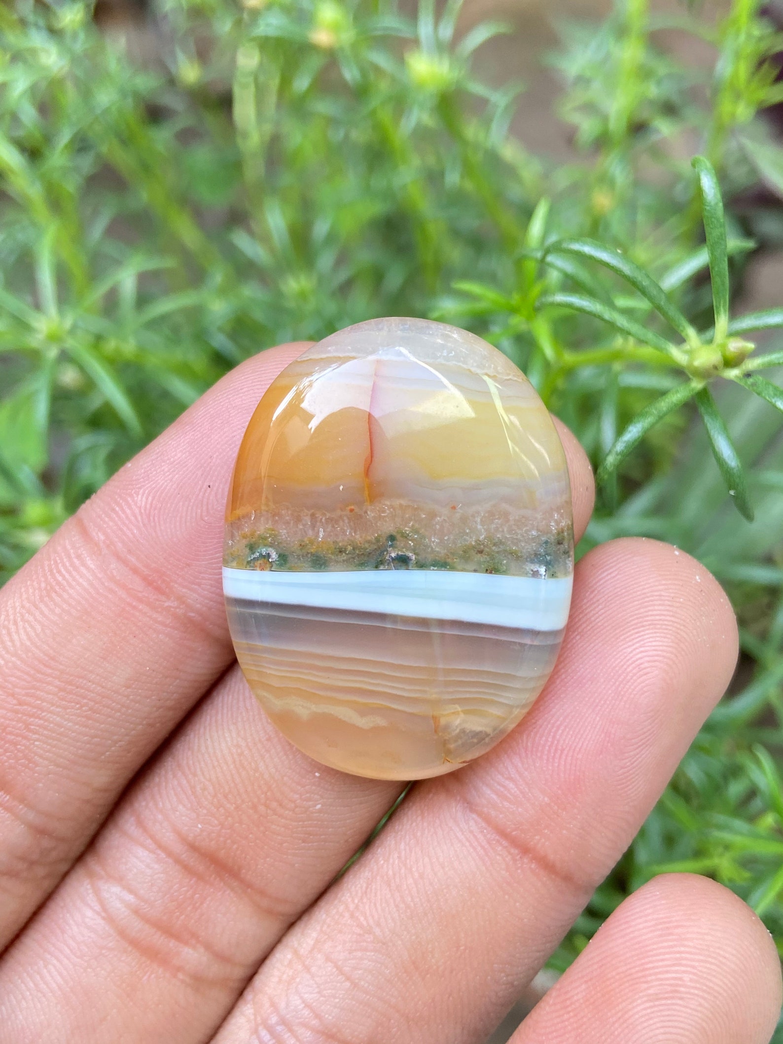 Very rare Carnelian Plume Agate Gemstone AAA quality plume Etsy