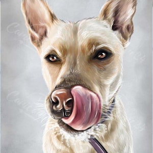 Dog Caricatures And Portraits From Photos | Custom Pet Caricature Portraits, Custom Dog Drawing