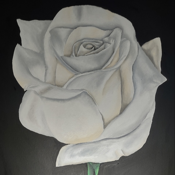 White Rose