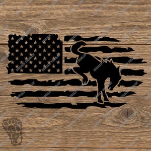 Revamp Your Ride with a 6th Gen Ford Bronco Logo on Flag Vinyl Decal