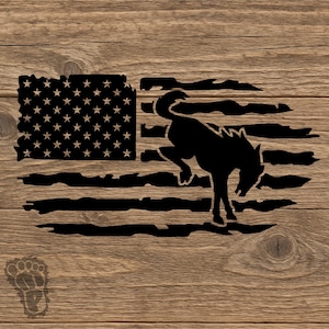 Revamp Your Ride with a 6th Gen Ford Bronco Logo on Flag Vinyl Decal