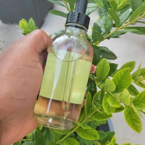 May include: A clear glass bottle with a black dropper top filled with a light yellow liquid. The bottle has a light green label with a white border.