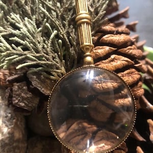 May include: A gold-toned magnifying glass with a decorative handle and a clear glass lens. The magnifying glass is resting on a brown pine cone.