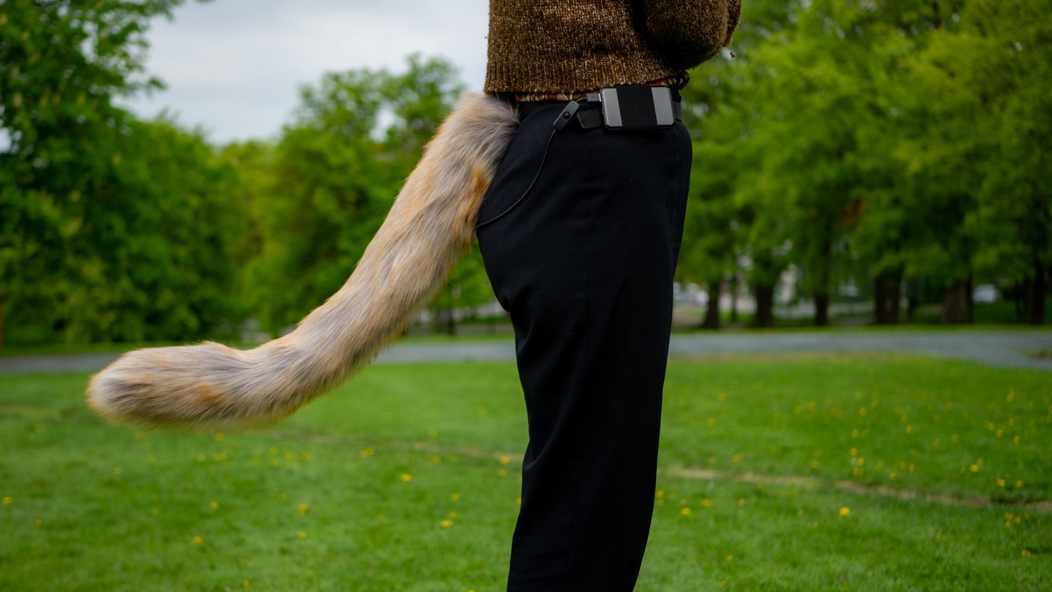 Large Tail Covers Etsy