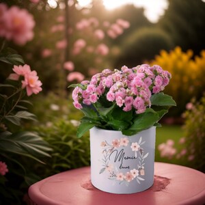 Peut inclure: Un pot en céramique bleu clair avec un motif floral et le texte "Mamie dans mon coeur" en noir. Le pot est rempli de fleurs de kalanchoe roses et de feuilles vertes.