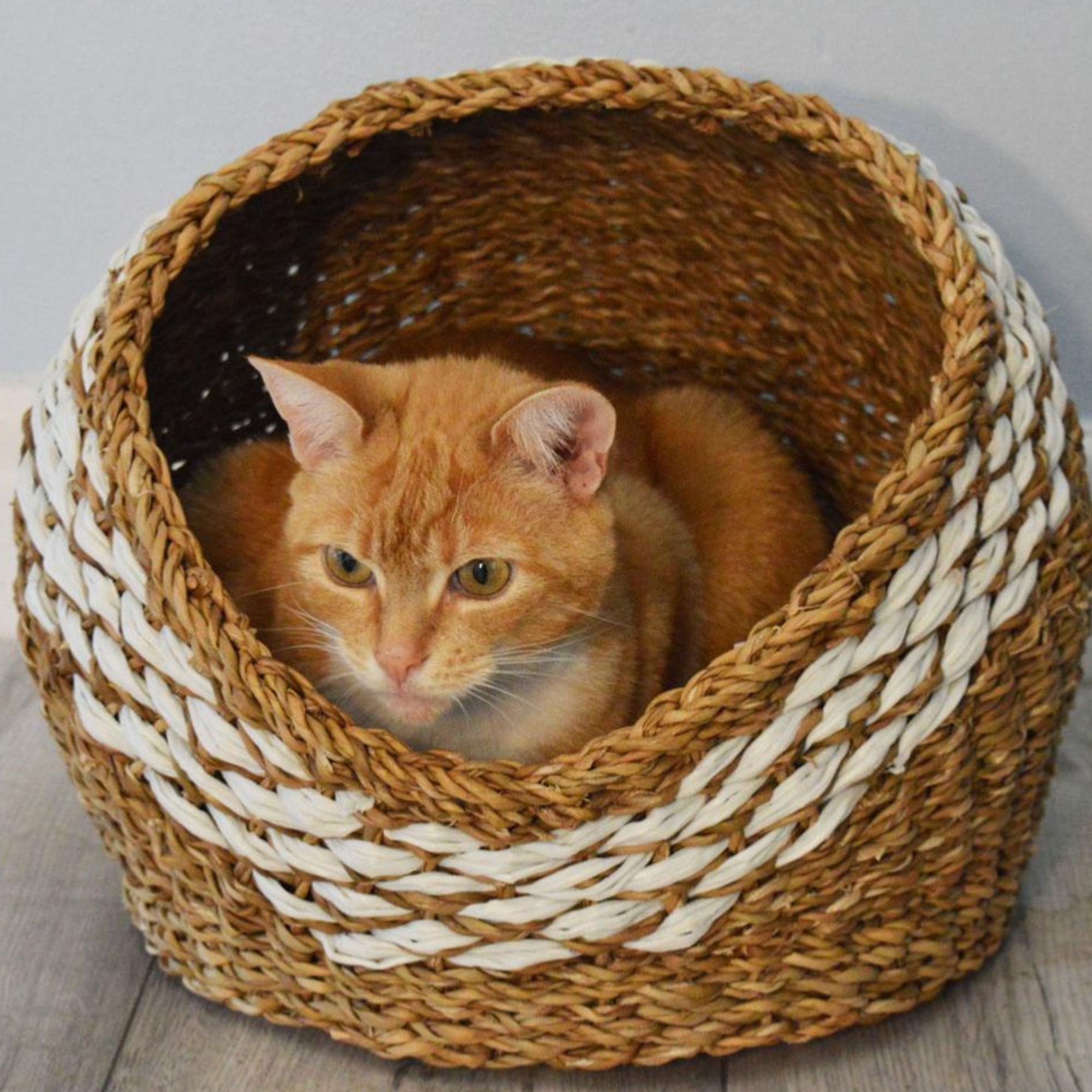 Seagrass Cat Basket Natural Bedding Etsy