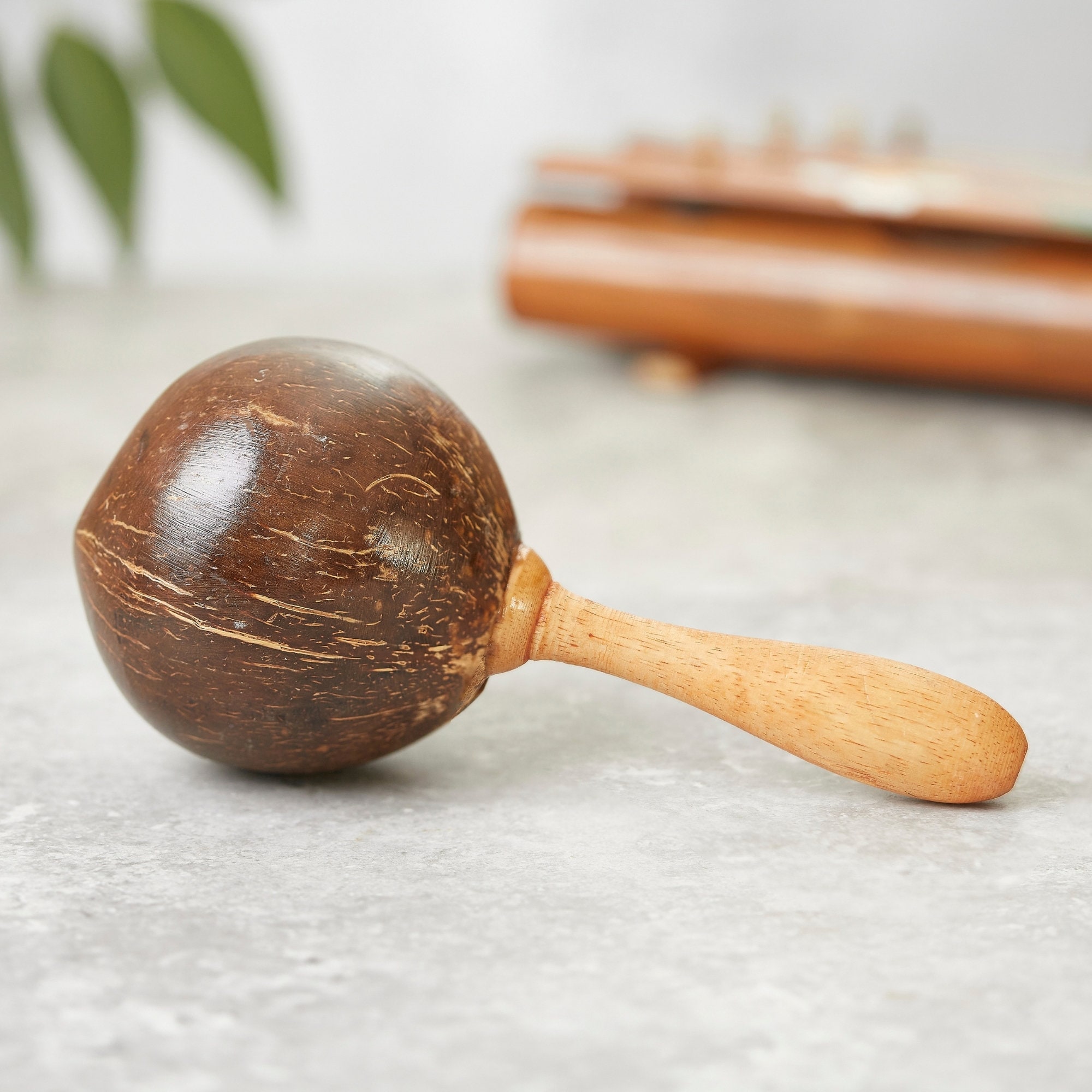 Indonesian Handmade Coconut Wood Maraca Shaker 21cm Etsy
