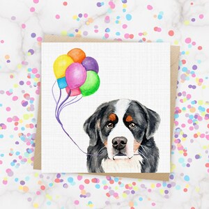 Bernese Mountain Dog Holding Rainbow Balloons / BMD Birthday Day Card / Dog Cupcake Card / Card From Loved One