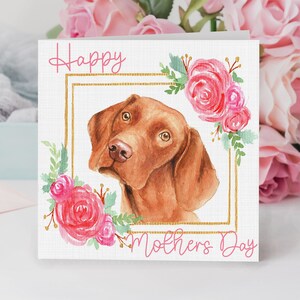 Hungarian Vizsla Mothers Day Card / Vizsla With Flower Frame