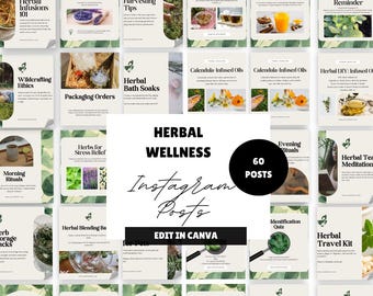 Herbal Wellness Instagram Posts: 60 Canva Templates (Digital Download)