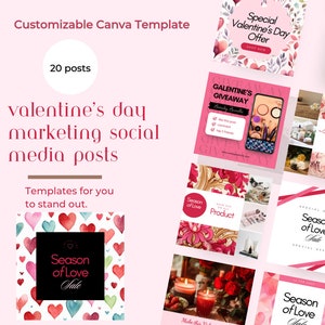 May include: A collection of 20 customizable social media post templates for Valentine's Day marketing. The templates feature a pink and red color scheme with hearts, flowers, and text that says "Season of Love Sale".