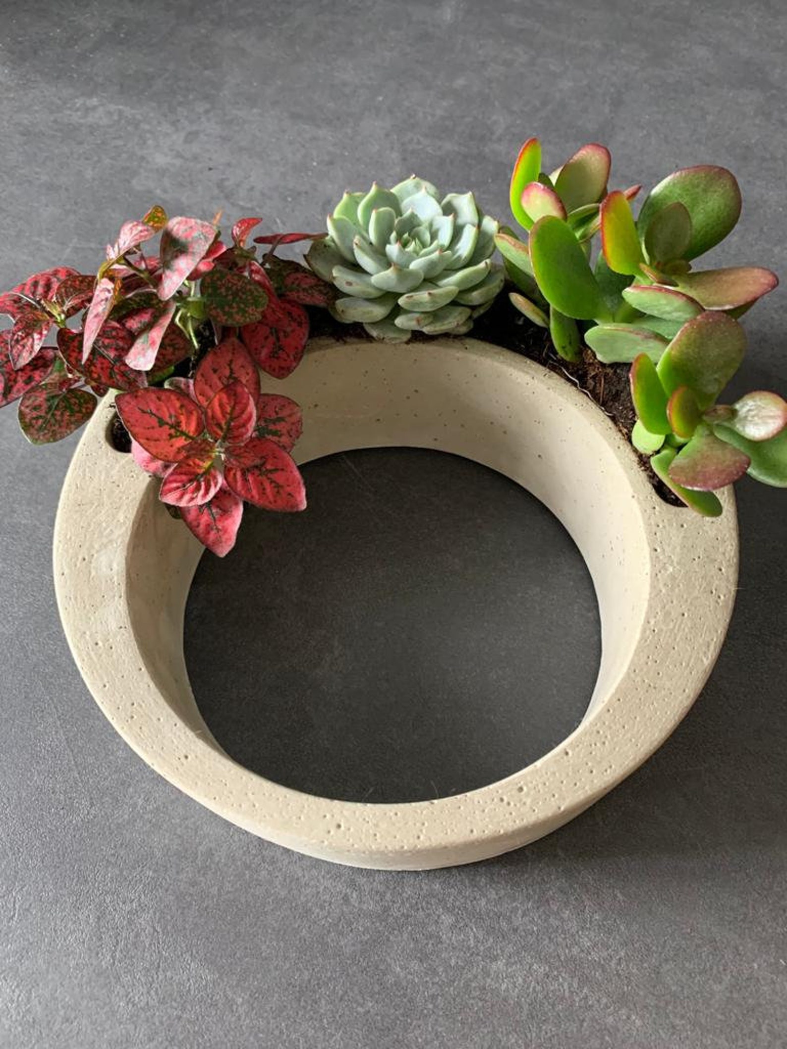 Planting ring concrete plant ring concrete deko plant pot Etsy