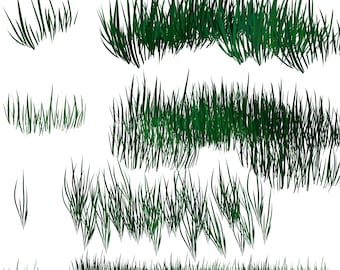15 Pincel Grass Photoshop Procreate para diseño gráfico de arte digital y edición de fotografías