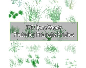 176 Pinceles de malezas para Procreate, pinceles de Photoshop para arte digital, diseño gráfico y edición de fotografías.