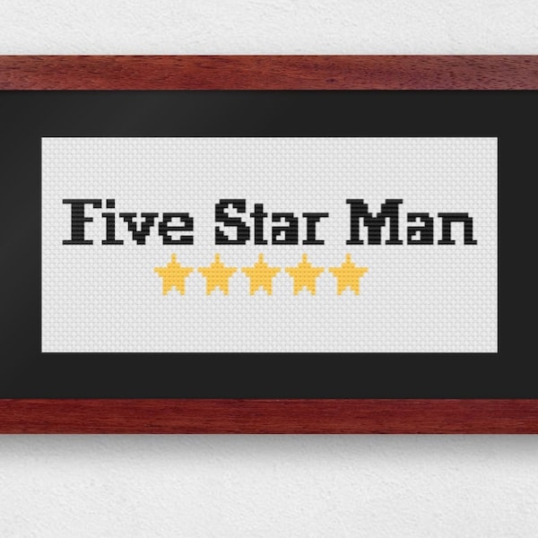 Five Star Man Cross Stitch Pattern Download - PDF, Always Sunny in Philadelphia, Dennis Reynolds