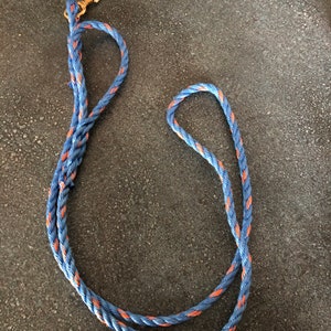 Dog leash