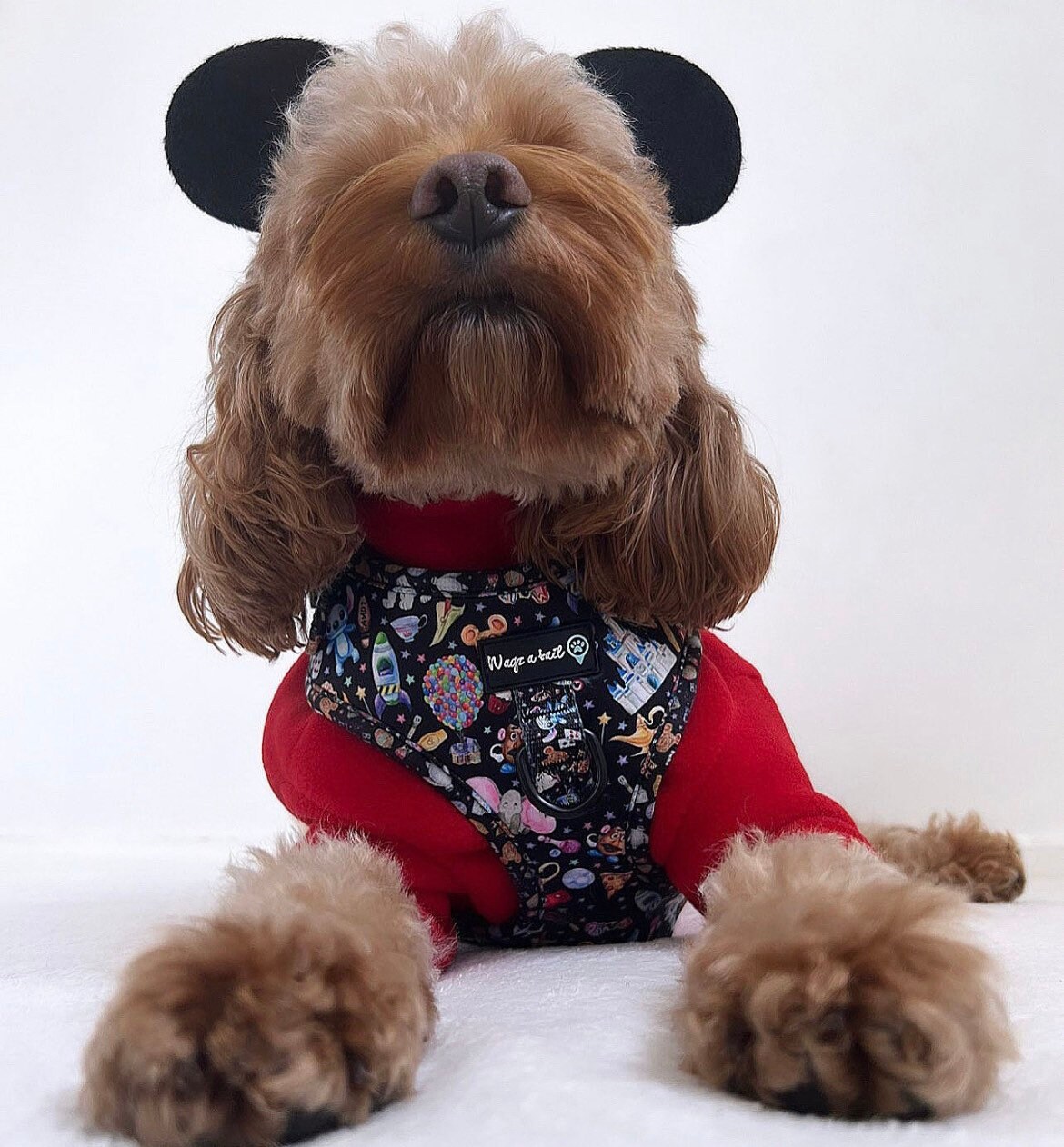 Oh My DISNEY Dog Harness Etsy