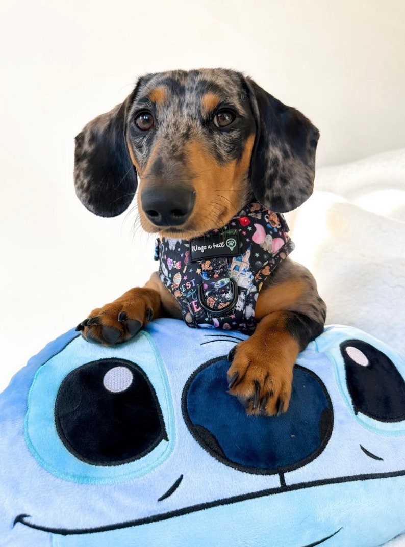 Oh My DISNEY Dog Harness Etsy UK