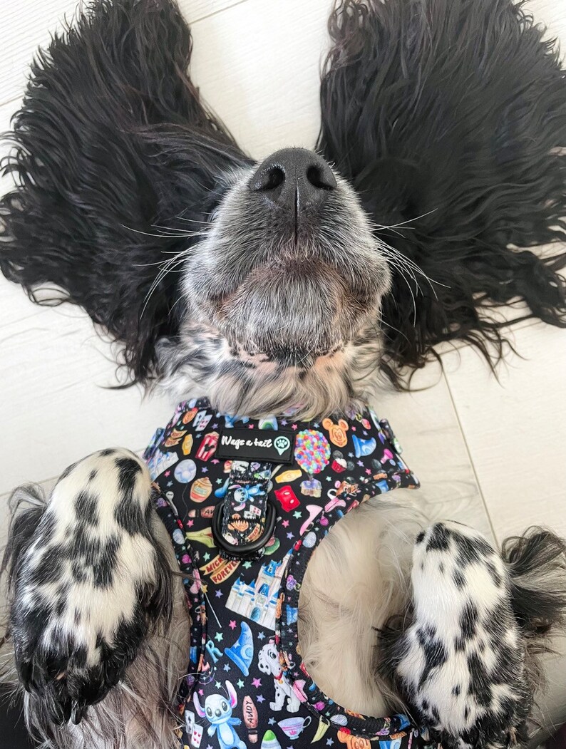 Oh My DISNEY Dog Harness Etsy UK
