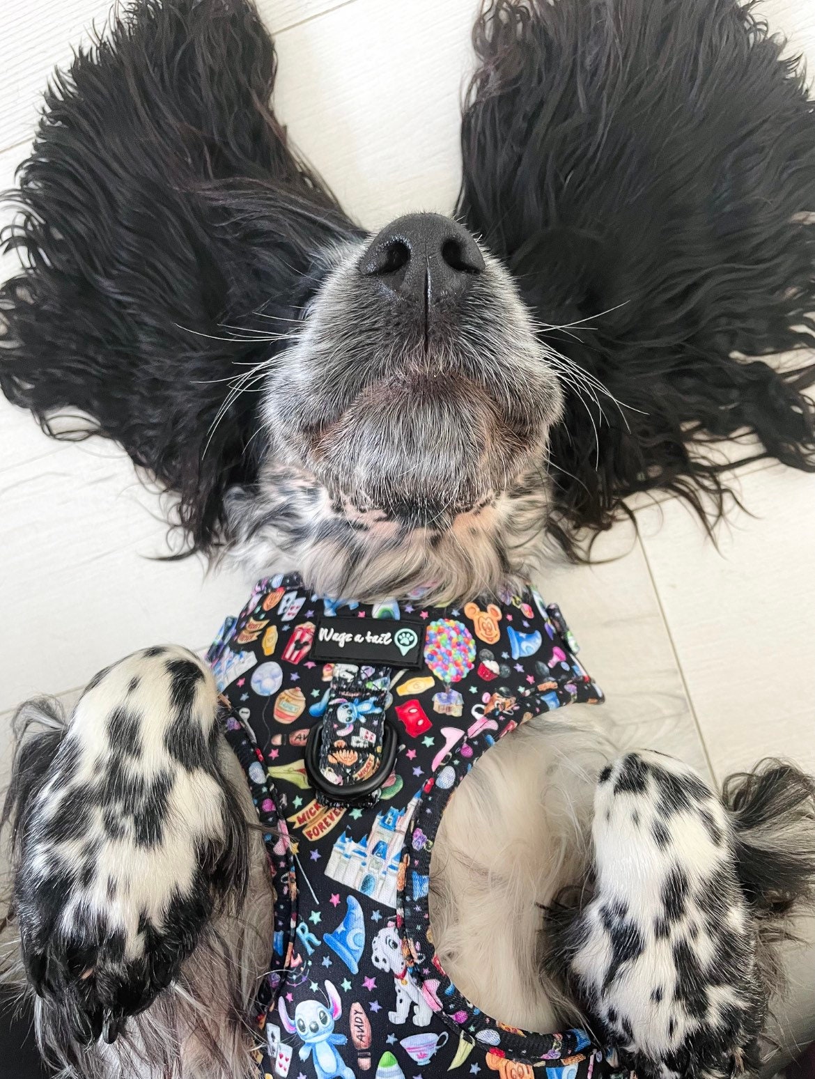 Oh My DISNEY Dog Harness Etsy