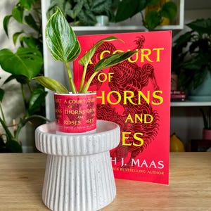 May include: A white ceramic plant stand with a speckled finish and a round top. A small potted plant with green and white leaves sits on top of the stand. A red book with the title "A Court of Thorns and Roses" by S.J. Maas is visible in the background.