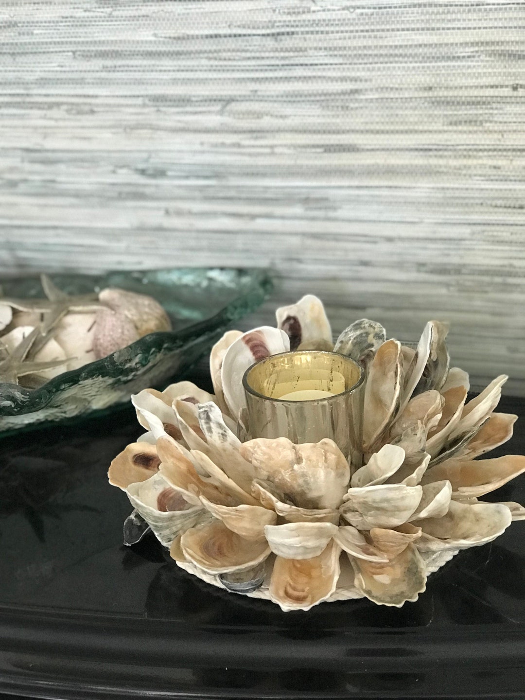 Oyster Shell Candle Holder Etsy
