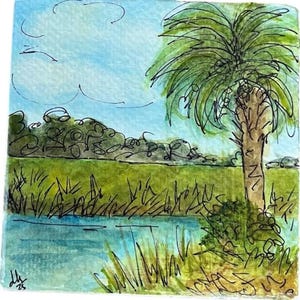 May include: A watercolor painting of a palm tree by a river. The sky is blue with a white cloud. The river is blue and green. The palm tree is green and brown. The grass is green. The painting is signed "dlu 25".