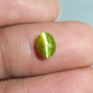 Natural Cats Eye Gemstone, Cats eye Cabochon, Cats Eye Cabochon Gemstone, Loose Gemstone, Wire wrapping, jewelry making, - 1.65  ct.  #S-629