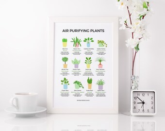 Air Purifying Plants Poster A4 - Houseplants Care Prints, Plants Wall Art, Plant Lover Gift