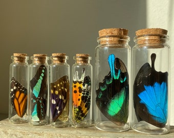 Lucky Real Butterfly & Moth Wings in a glass Corked Jar, Insects, Lucky, gift, home decor, oddities, curiosities, monarch butterfly, memento