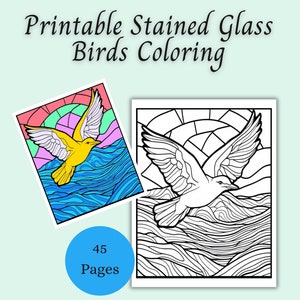 Printable Stained Glass Birds Coloring Pages, Instant Download PDF