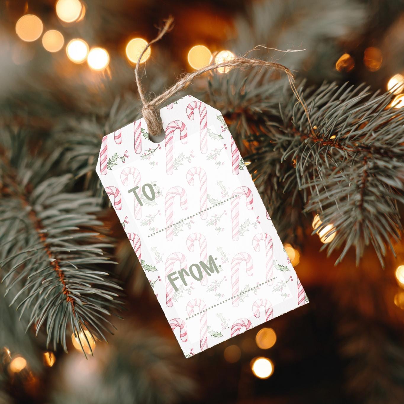 Candy Cane Christmas Gift Tags, Printable Holiday Favor Tags (digital ...