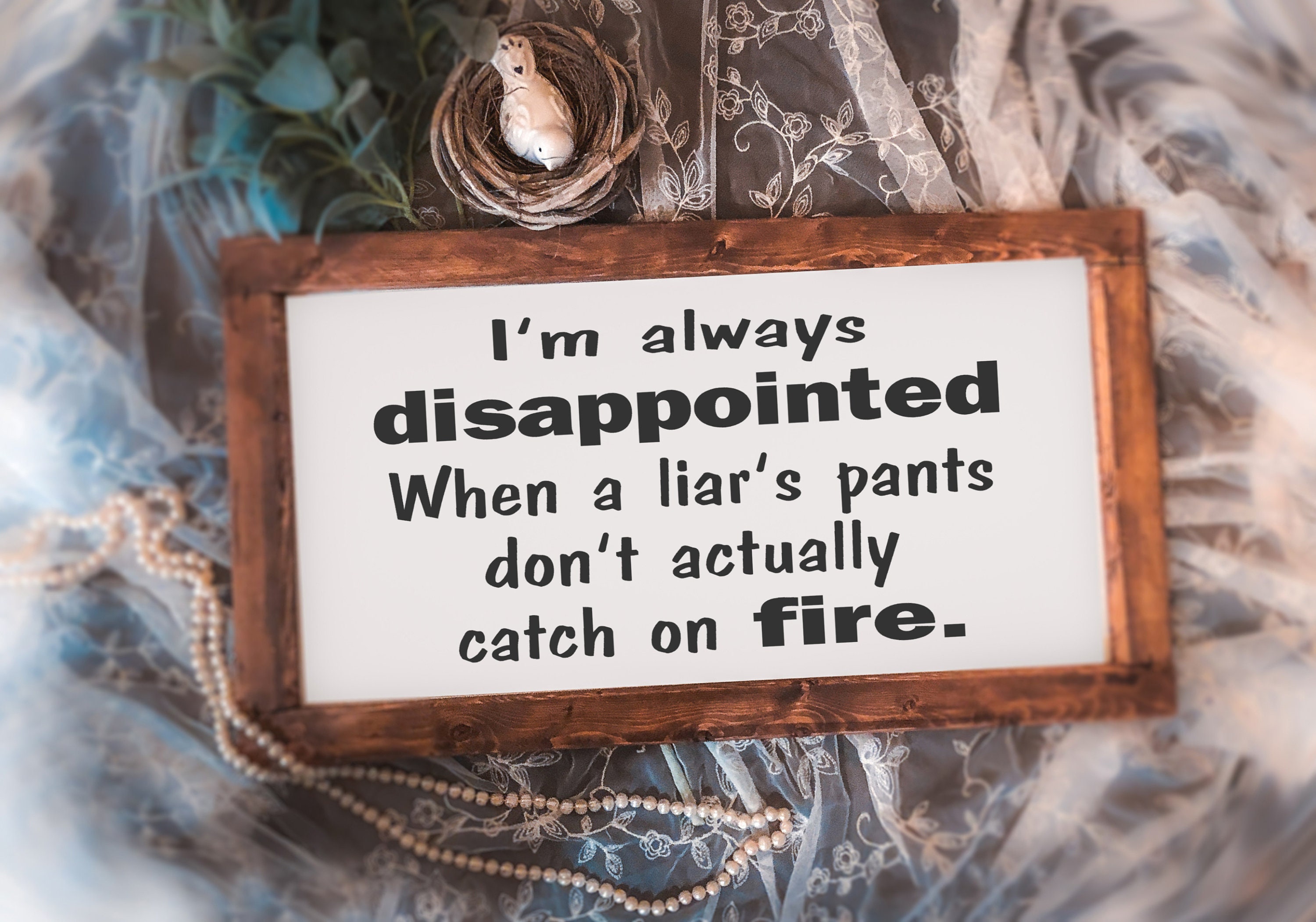 I'm always disappointed when a liar's pants don't actually catch on