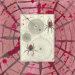 Original Spider Diagram Watercolor Collage