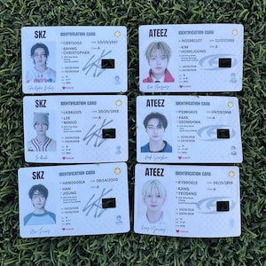 Pegatina de identificación de licencia inspirada en Kpop para deslizar o insertar