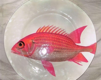 Under The Sea Plate Melamine 9" Sea Squirrelfish!