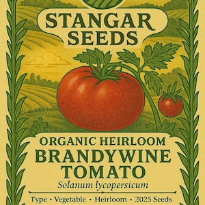 Brandywine Heirloom Tomato Seeds