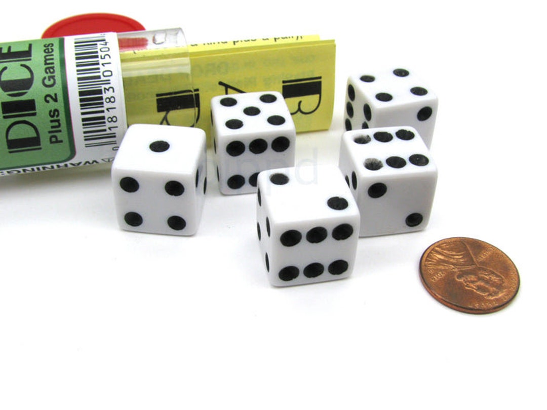 Bar Dice Game With 5 Dice Travel Tube and Gaming Instructions Etsy