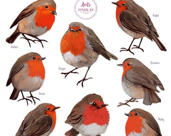 Robin fabric printed panel for applique and craft projects
