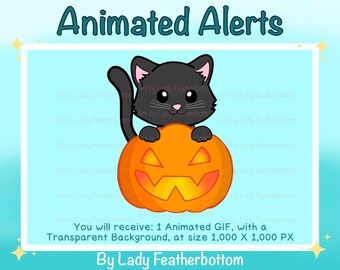 Animated Alert | Halloween | Cute Black Cat in Jack-o'-lantern | Animated Stream Alert | Twitch | YouTube etc.