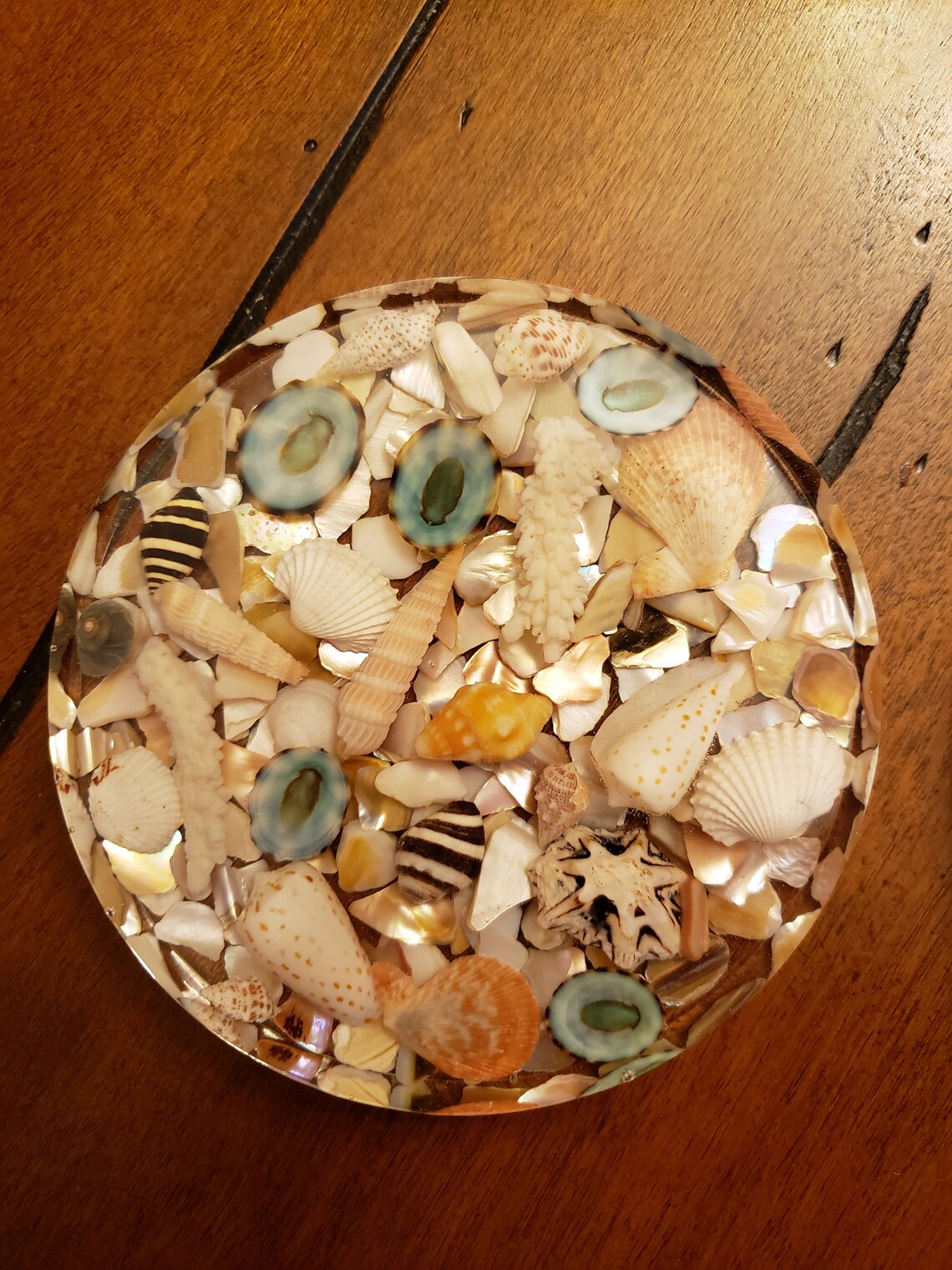 Seashell Resin Coaster Epoxy Resin Art Housewarming Gift Etsy