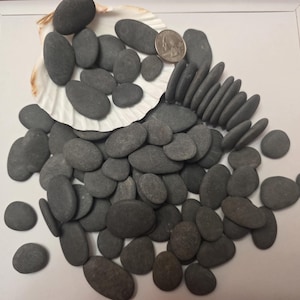May include: A collection of smooth, gray river stones of various sizes, some arranged around a seashell. A U.S. quarter coin is included for scale. The stones are a natural gray color and appear to be polished.