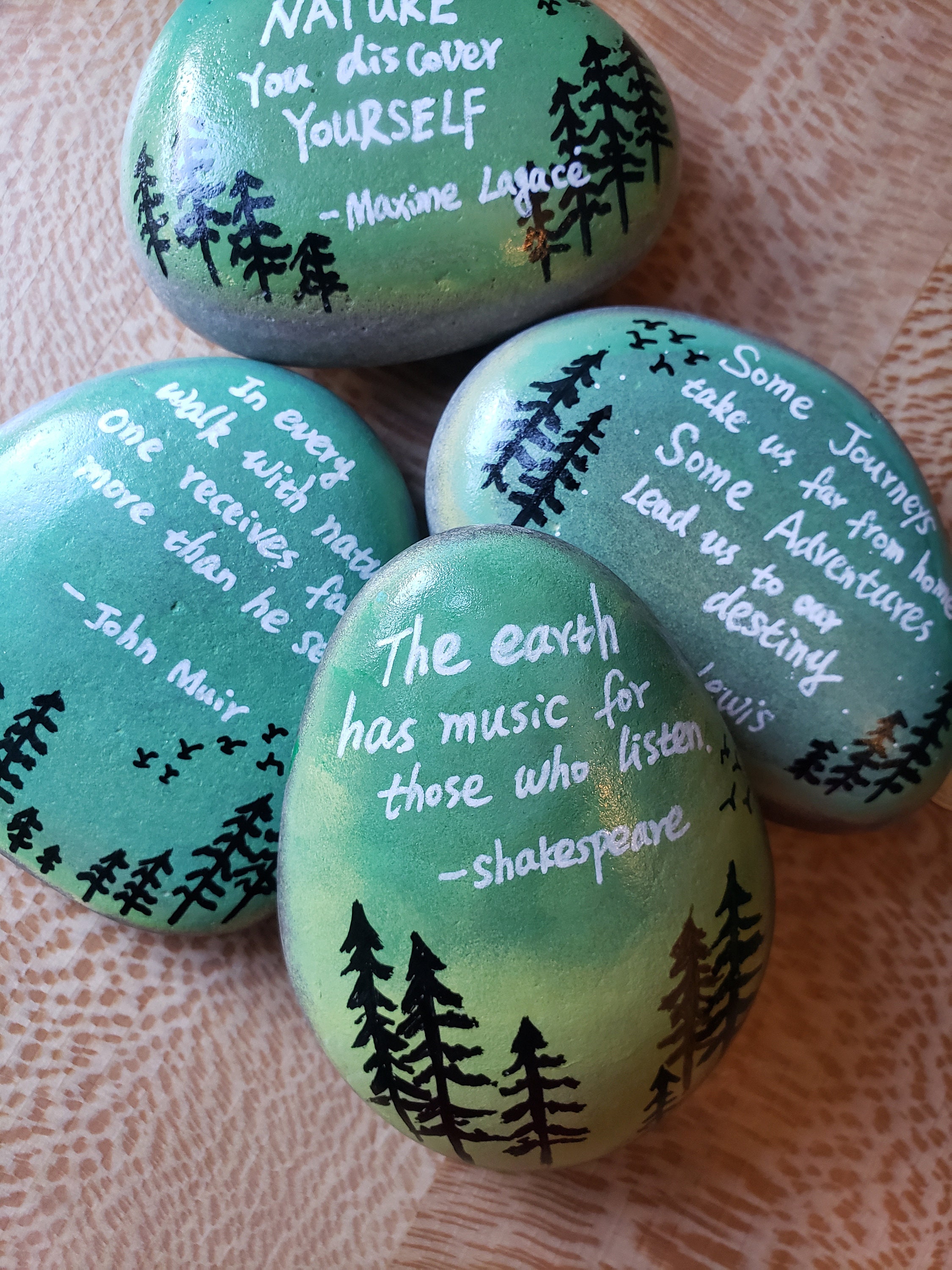 Quotes In Rocks Rock Art Quotes Paint A Rock For The Library's Kindness Rock Garden