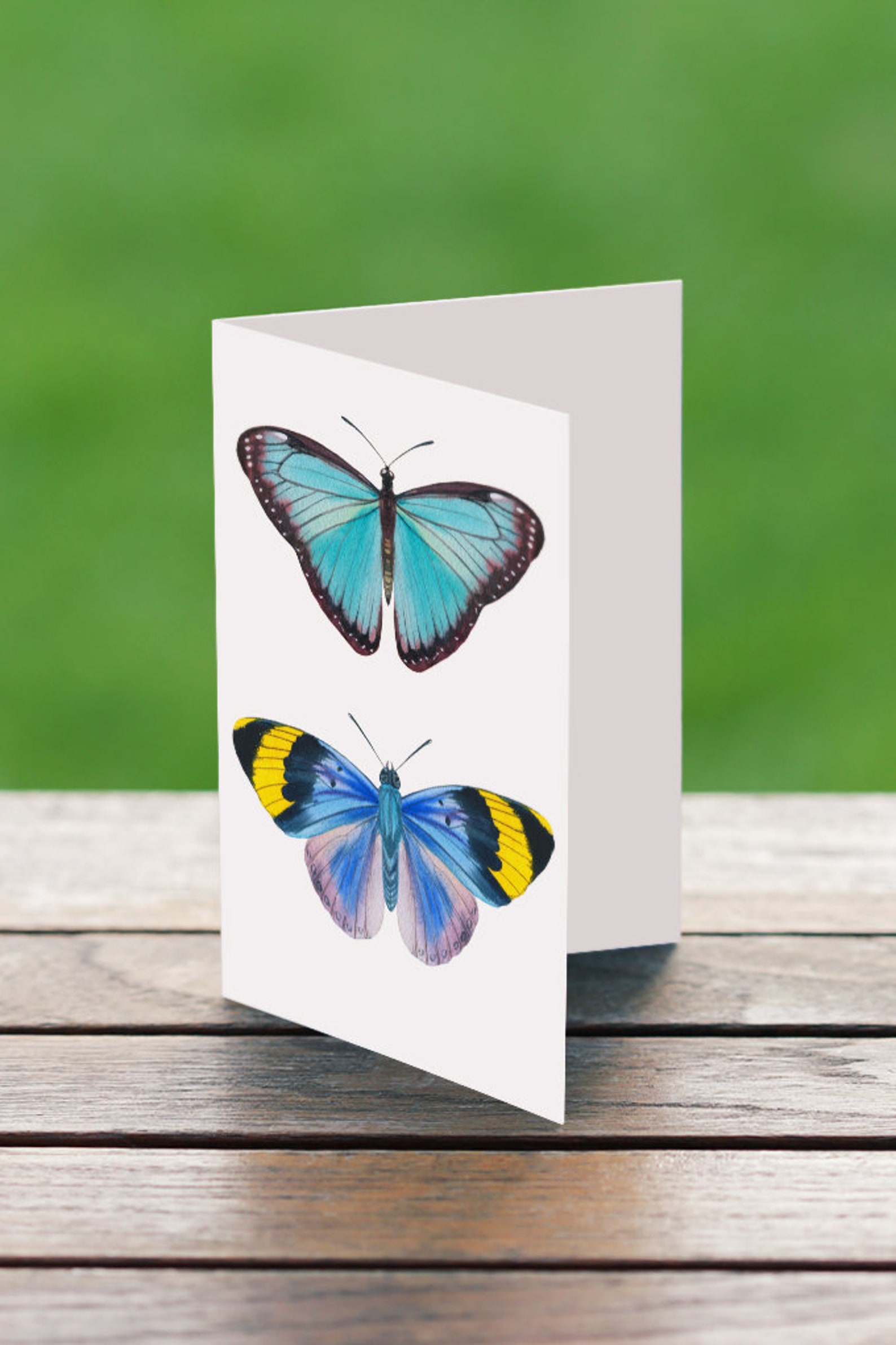 Butterfly Printable Butterfly Wall Decor Nursery Wall Decor | Etsy