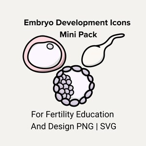 Può includere: Illustrazione digitale con tre icone che rappresentano lo sviluppo embrionale. Le icone includono una cellula, uno spermatozoo e un gruppo di cellule. Il testo in alto recita "Embryo Development Icons Mini Pack". Il testo in basso dice "For Fertility Education And Design PNG | SVG."