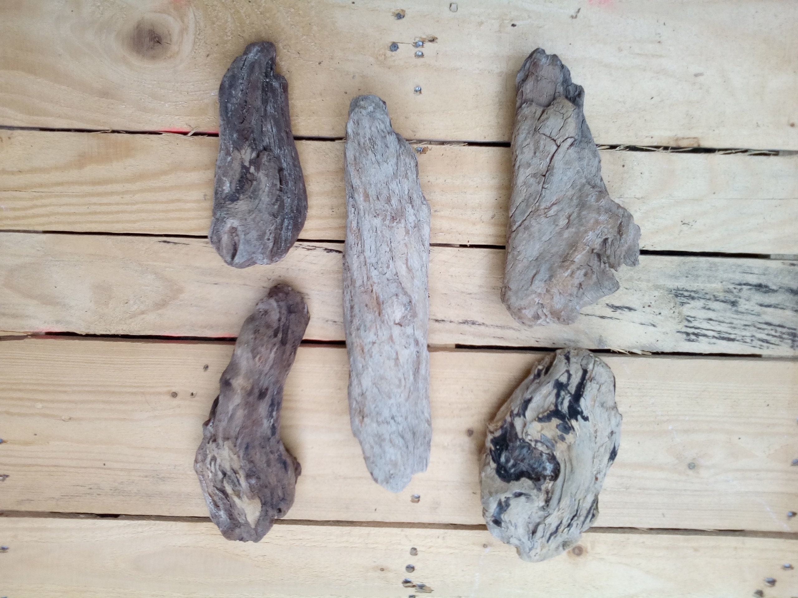 5 Pieces of Driftwood for Decor and Crafts 12cm to Etsy