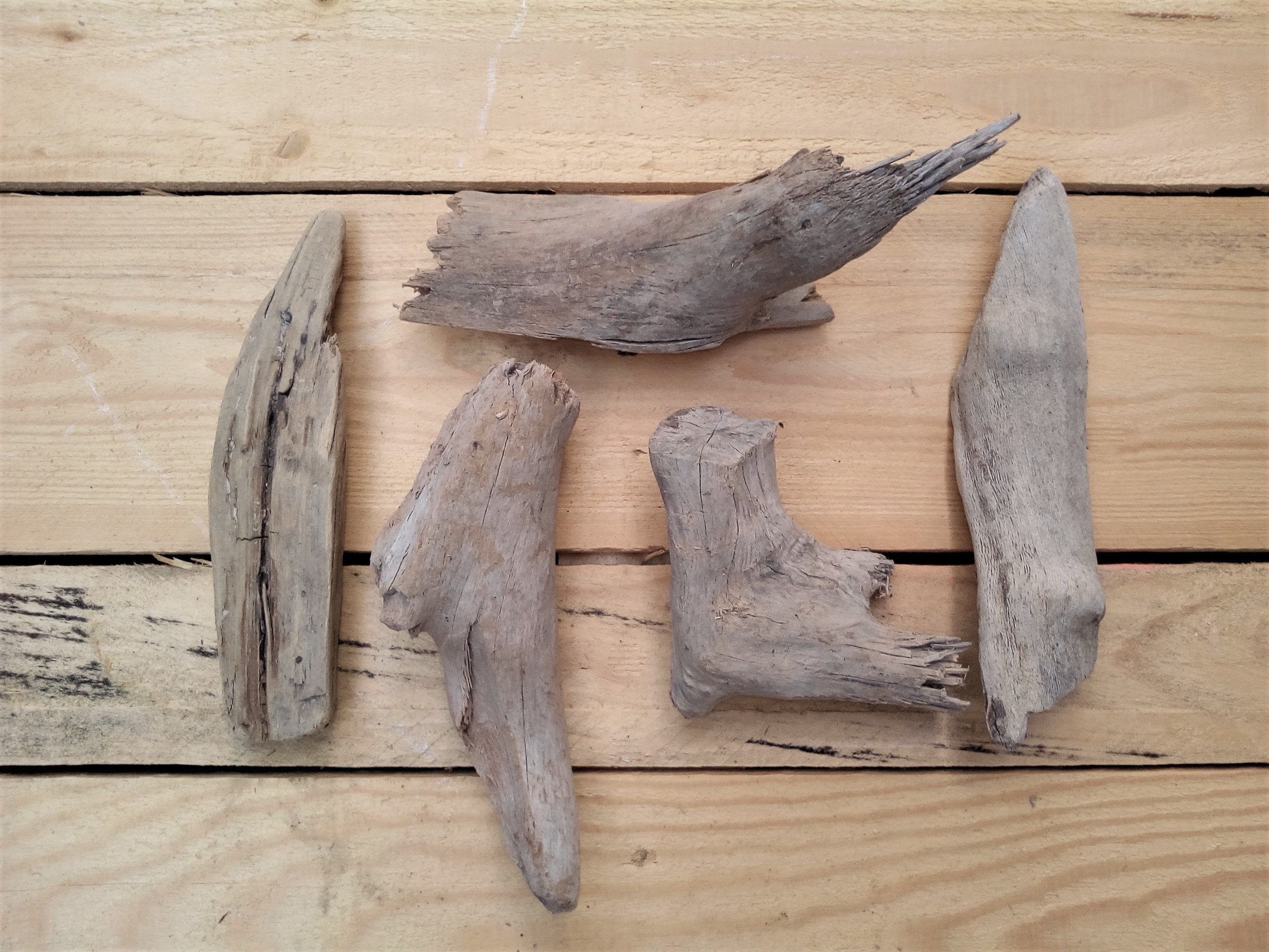 5 Medium Driftwood Pieces From 15cm to 25cm Approx 6''to 9'' Etsy