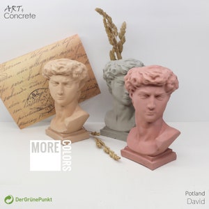 Vaso scultura David - Portafiori secchi - Regalo unico per la decorazione della casa