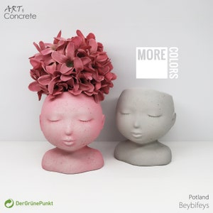 Flower pot - Natural Plant Accessories - Decorative Pot