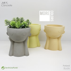 Small Decorative Flower Pot- Home Decor - Cactus Planters - Indoor Planters - Cactus Pot